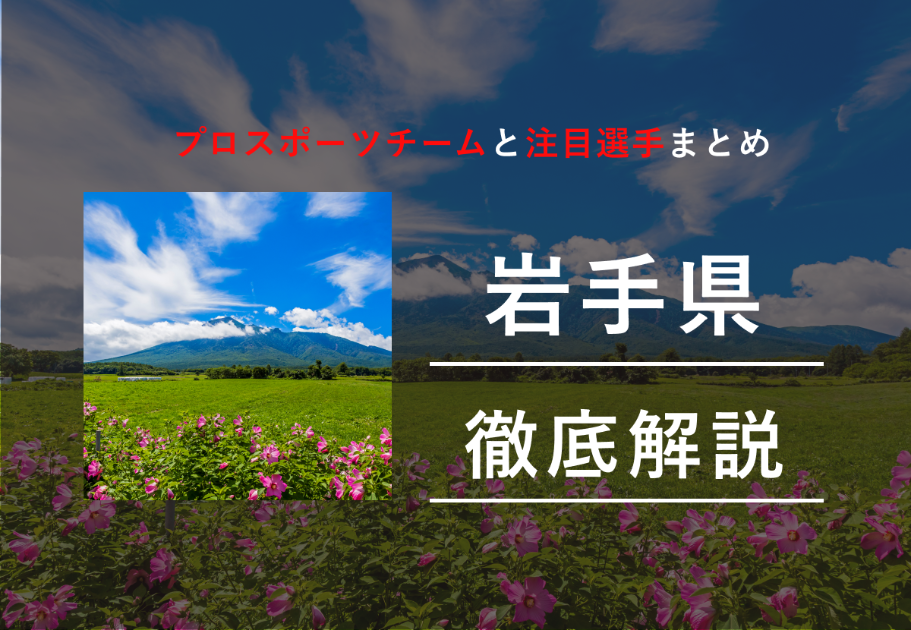 【2026年最新】岩手県のプロスポーツチームまとめ