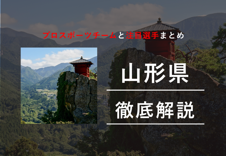 山形県のプロスポーツチームと注目選手まとめ