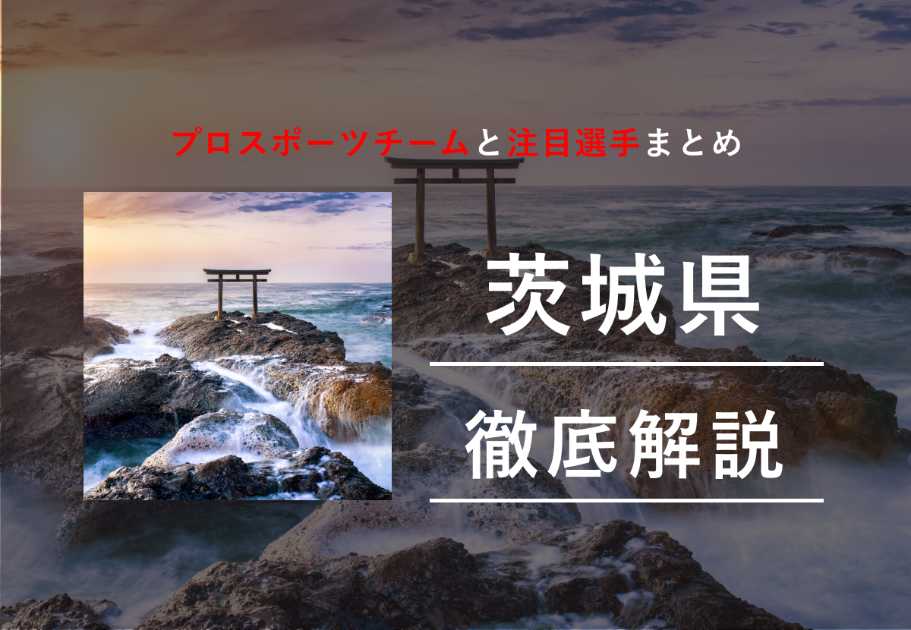 山形県のプロスポーツチームと注目選手まとめ