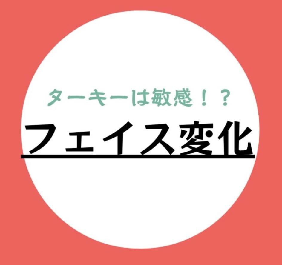 画像の説明を入力