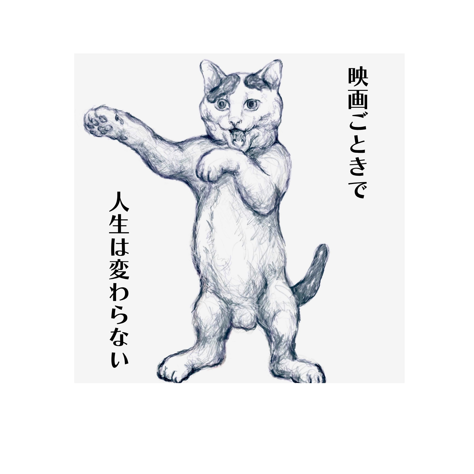 画像の説明を入力